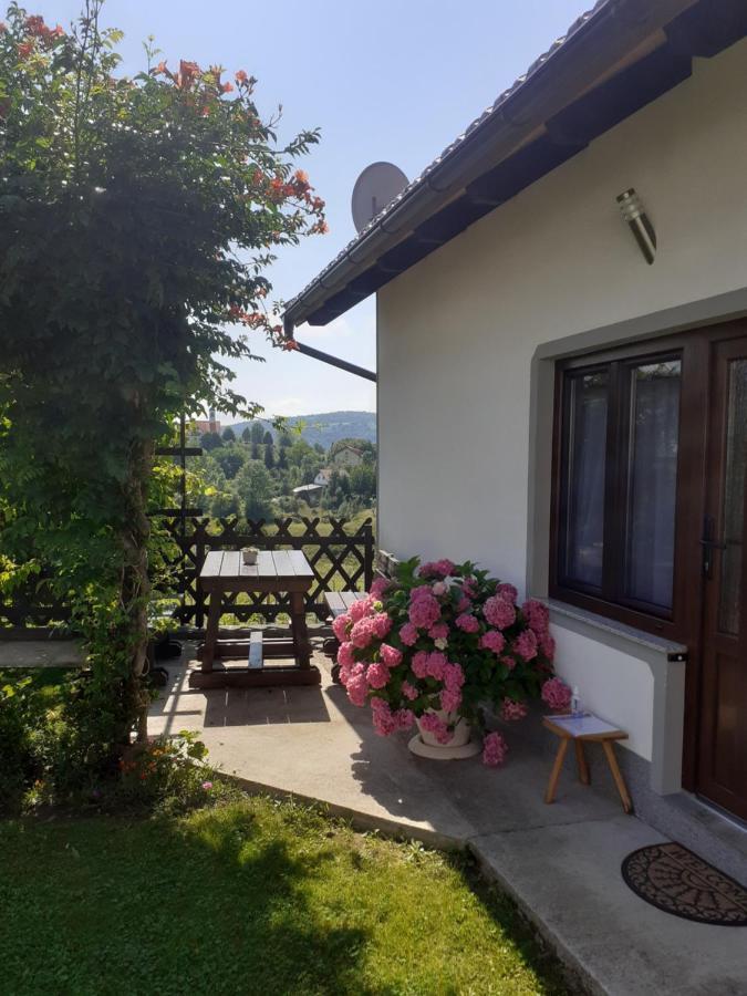 Apartment Petra I Nikola เซลิสเต เดรซิสโก ภายนอก รูปภาพ