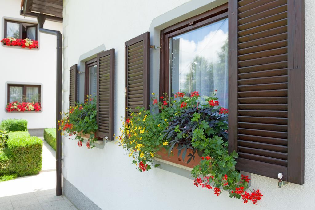 Apartment Petra I Nikola เซลิสเต เดรซิสโก ภายนอก รูปภาพ