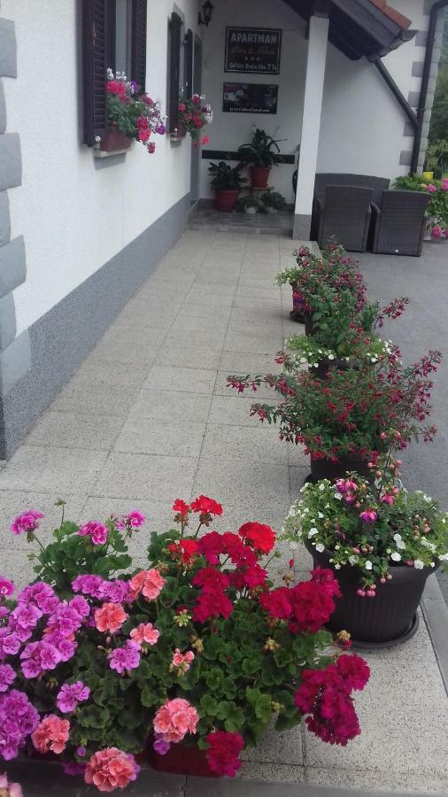 Apartment Petra I Nikola เซลิสเต เดรซิสโก ภายนอก รูปภาพ